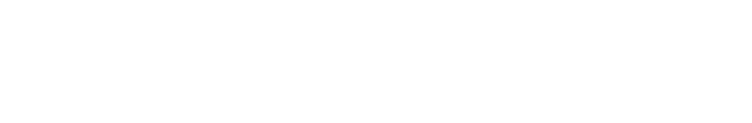 Neolyce Demo